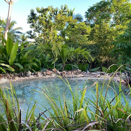 Aventura Rincon Ecolodge Las Galeras Eksteriør billede