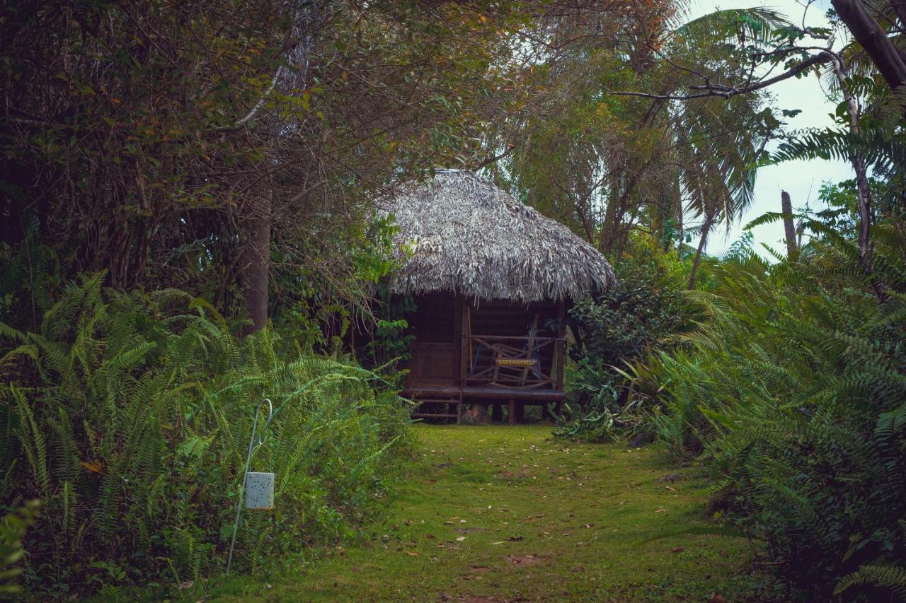 Aventura Rincon Ecolodge Las Galeras Eksteriør billede