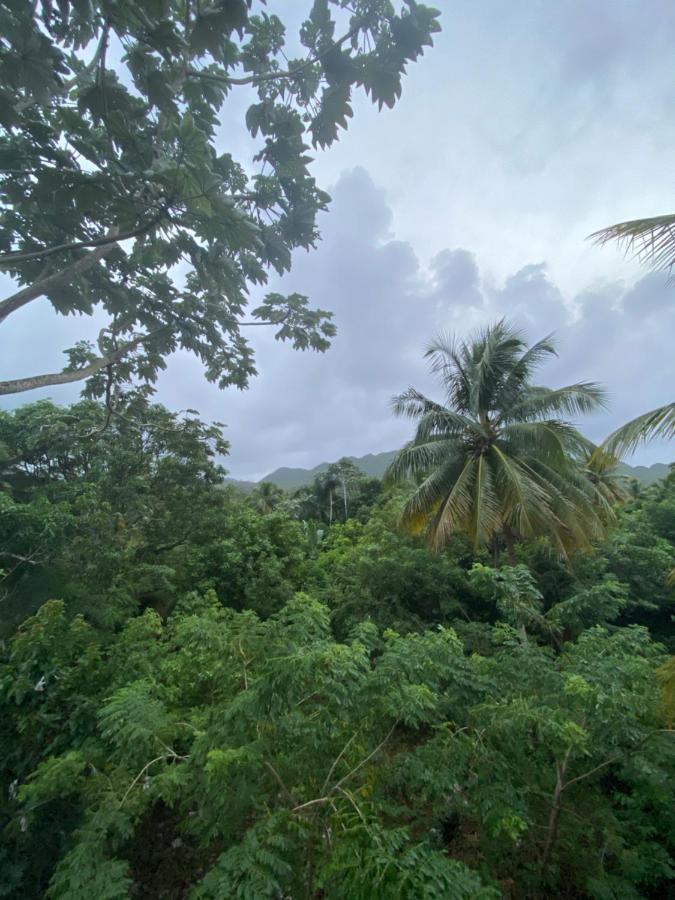 Aventura Rincon Ecolodge Las Galeras Eksteriør billede