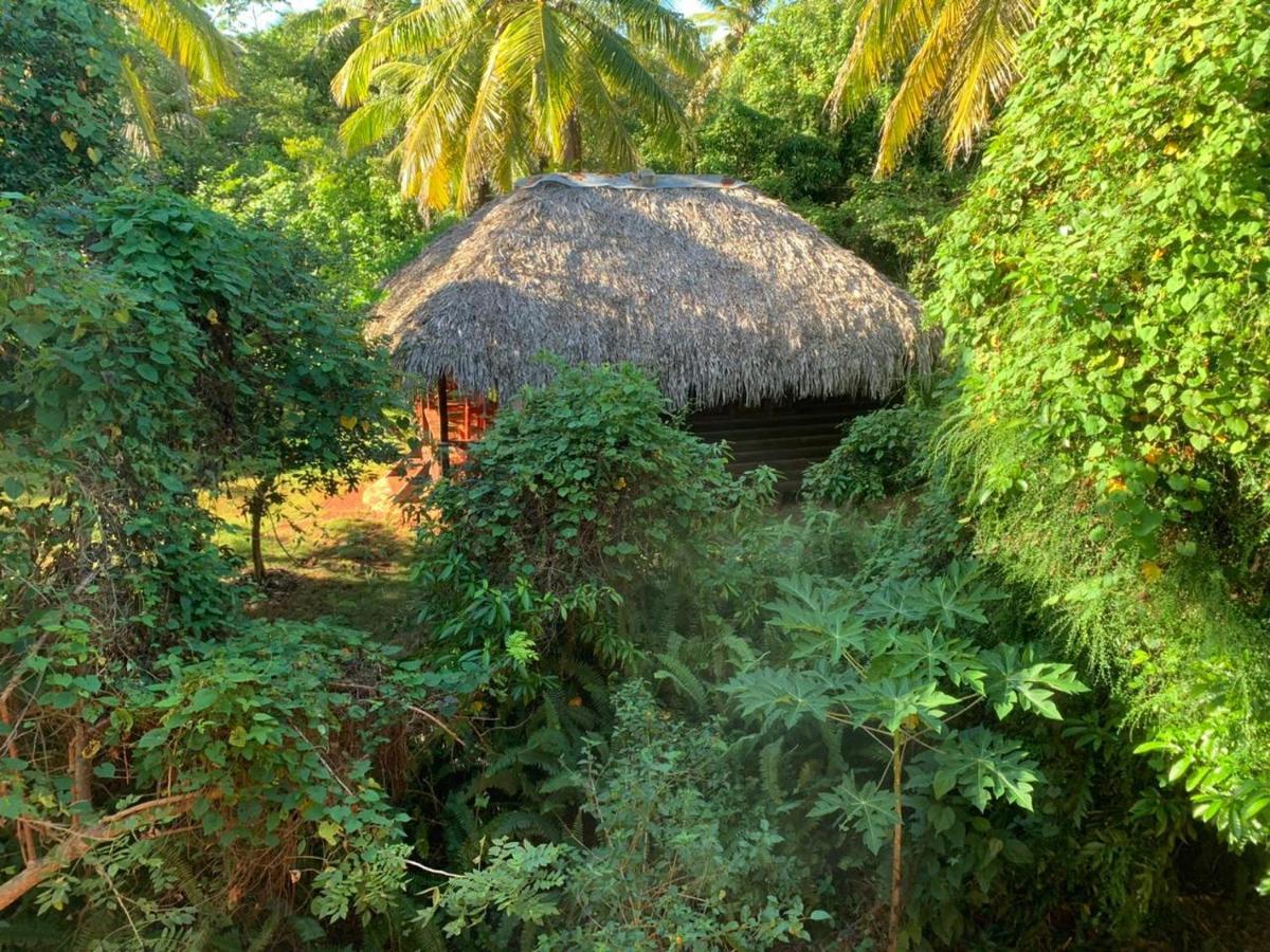 Aventura Rincon Ecolodge Las Galeras Eksteriør billede