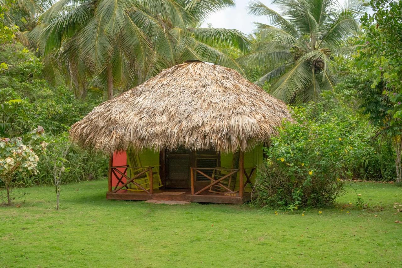 Aventura Rincon Ecolodge Las Galeras Eksteriør billede