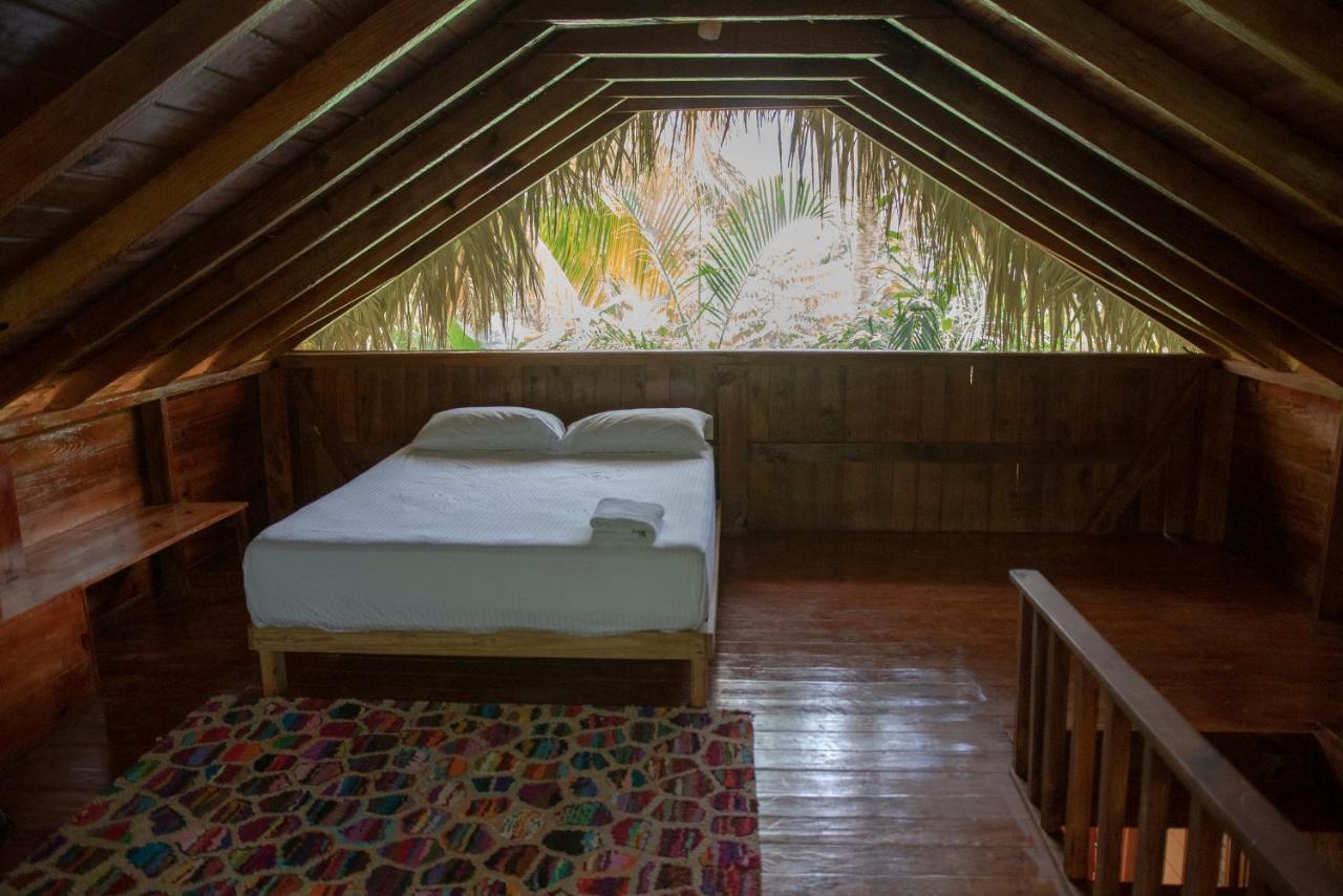 Aventura Rincon Ecolodge Las Galeras Eksteriør billede