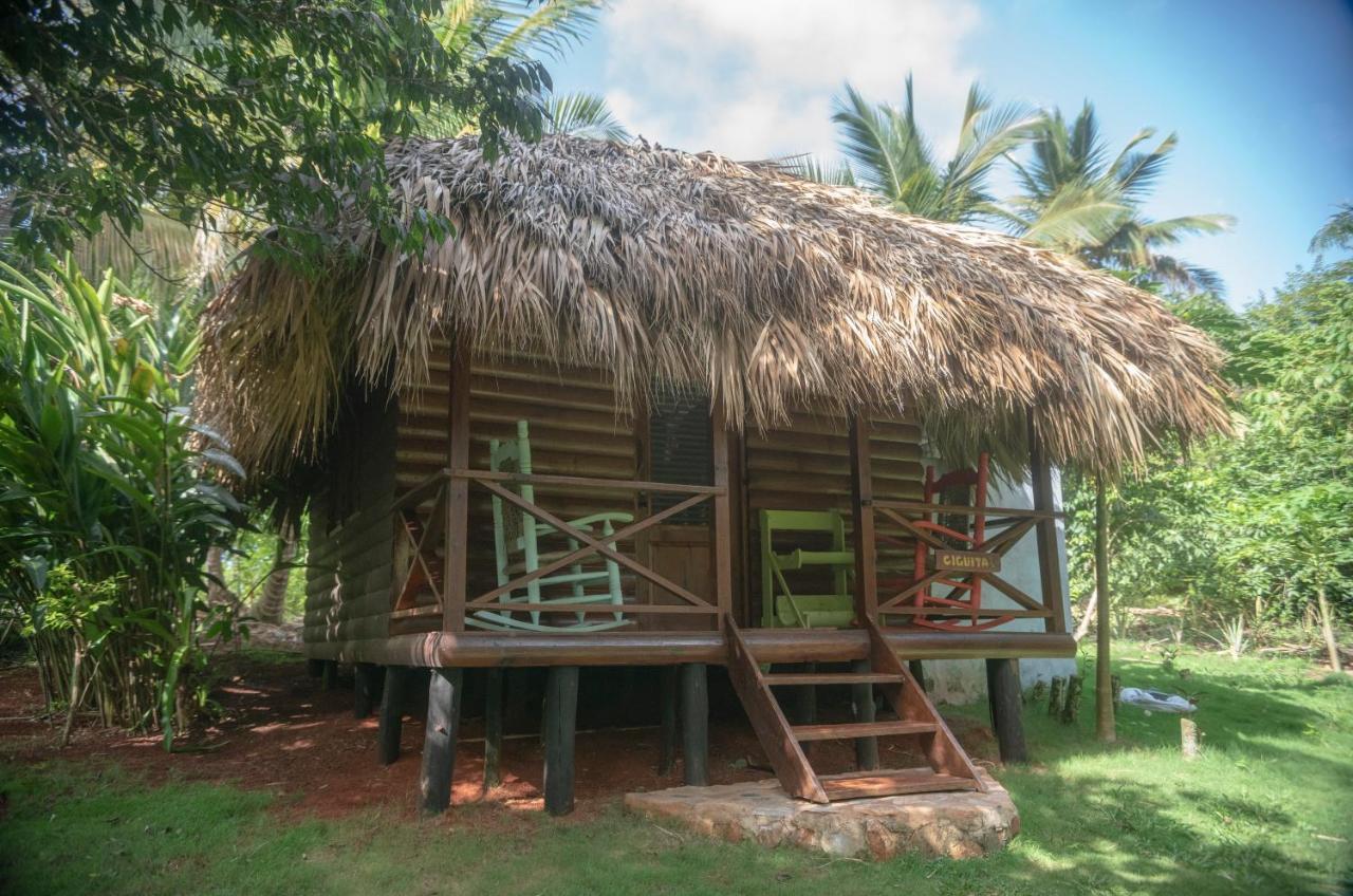 Aventura Rincon Ecolodge Las Galeras Eksteriør billede