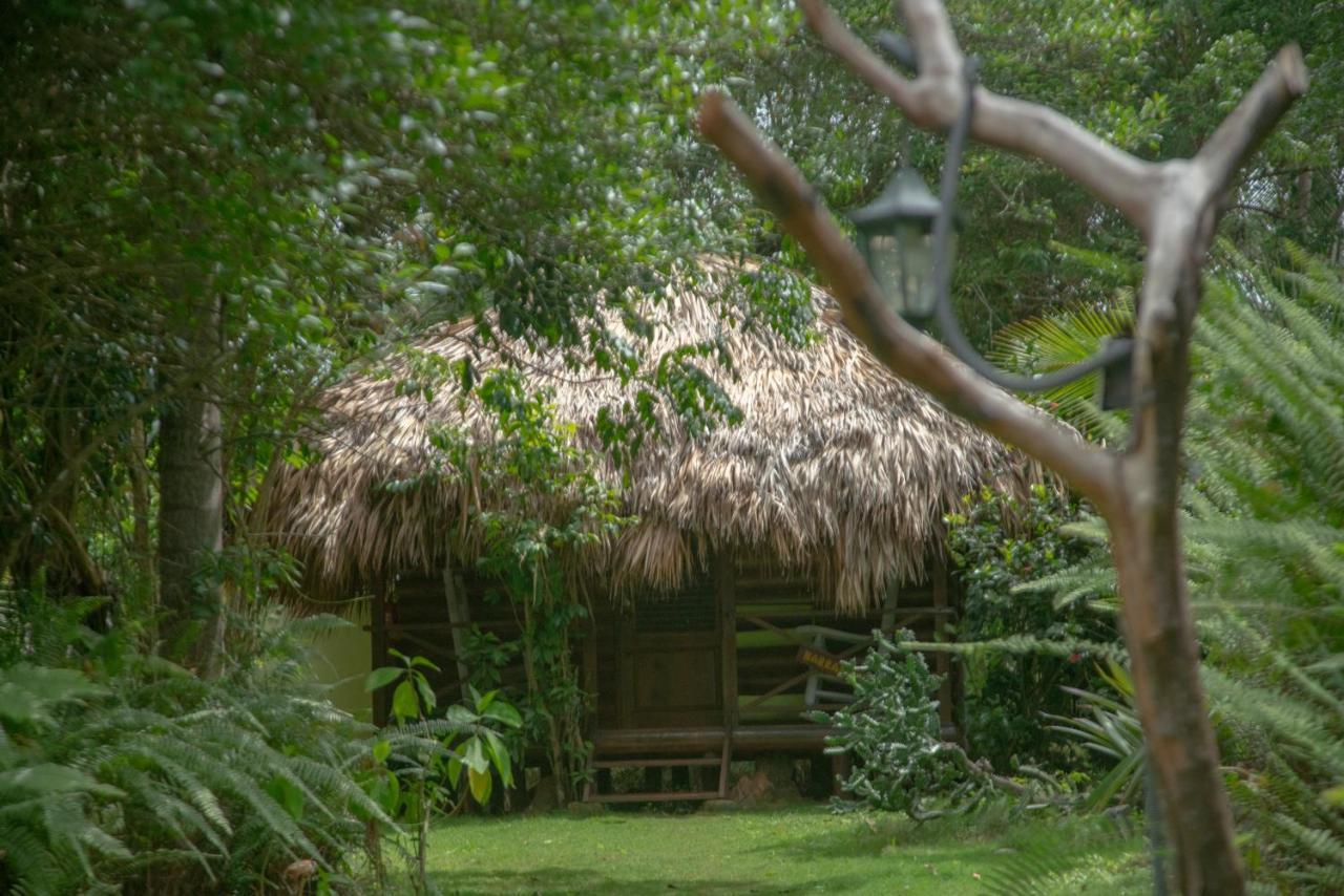 Aventura Rincon Ecolodge Las Galeras Eksteriør billede