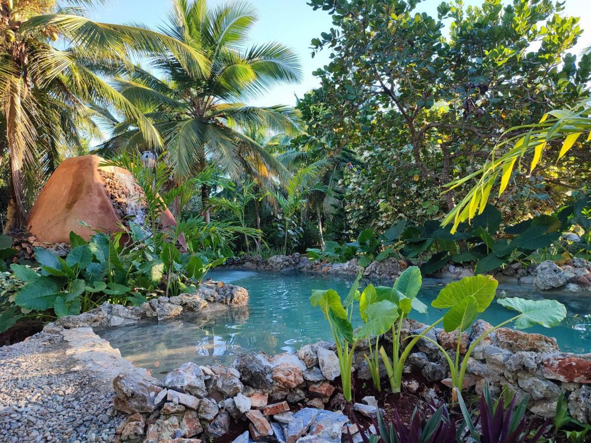 Aventura Rincon Ecolodge Las Galeras Eksteriør billede
