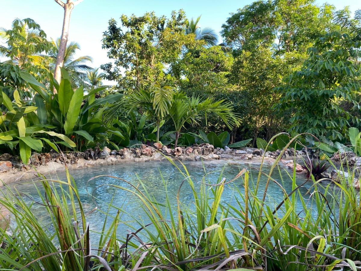 Aventura Rincon Ecolodge Las Galeras Eksteriør billede