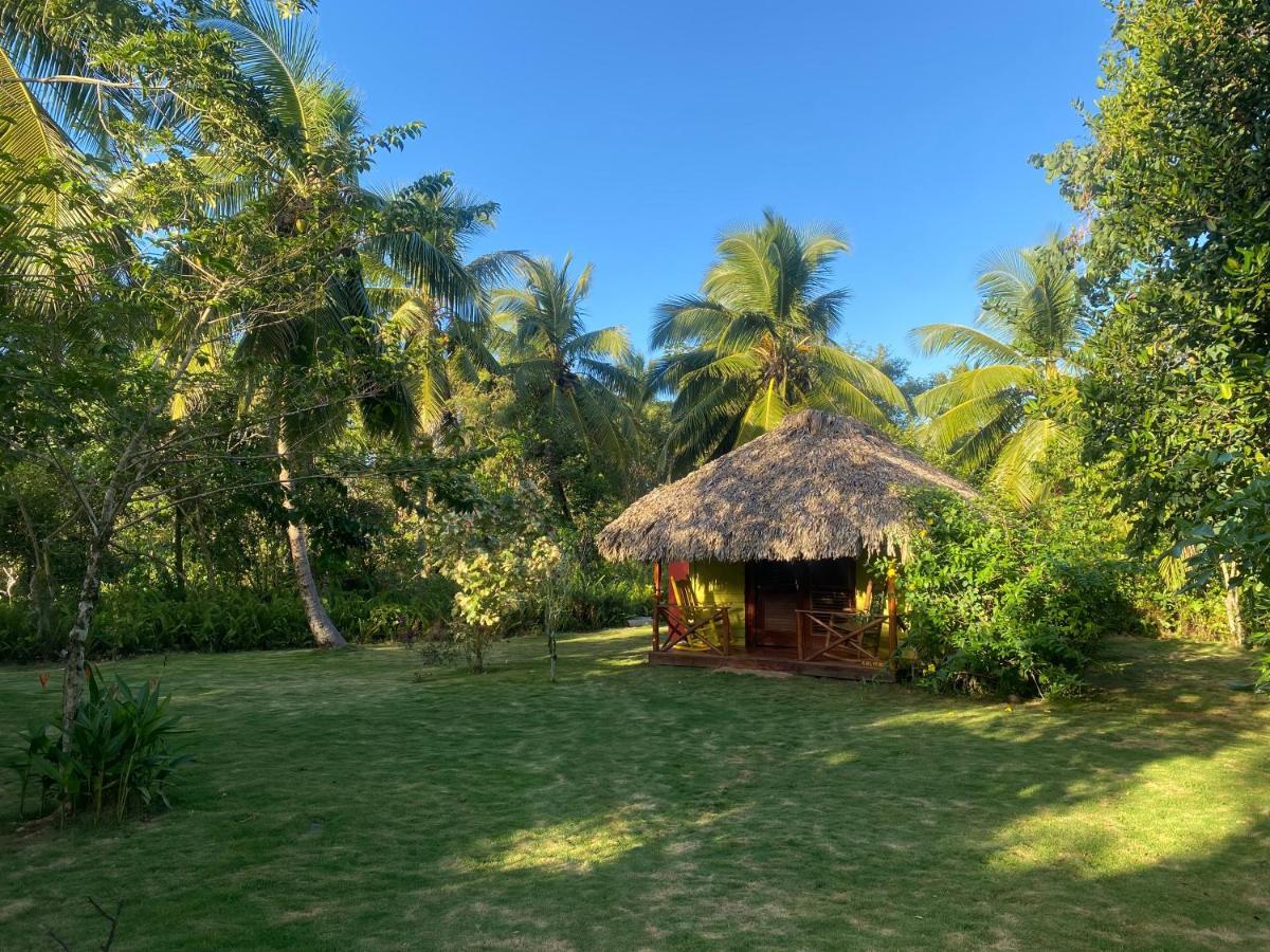 Aventura Rincon Ecolodge Las Galeras Eksteriør billede