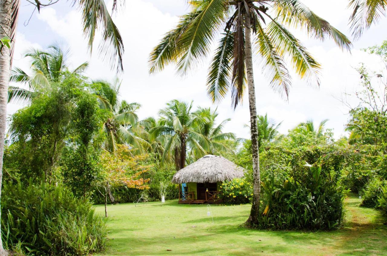 Aventura Rincon Ecolodge Las Galeras Eksteriør billede